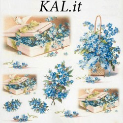 Kalit А3